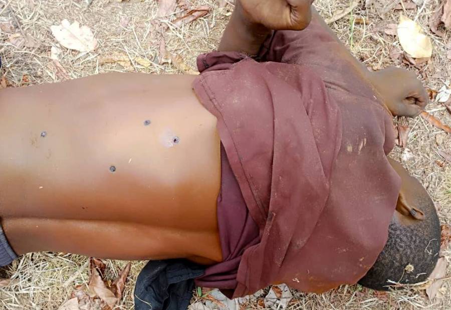 Adamawa police kill kidnapper